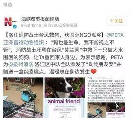 生活帮网友爆料视频大全,揭秘日常生活中的热点事件 第1张 生活帮网友爆料视频大全,揭秘日常生活中的热点事件 第1张